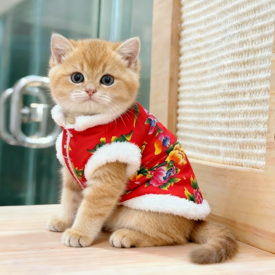 中小型宠物猫咪保暖衣服东东北大花袄狗狗泰迪喜庆宠物猫新年加厚