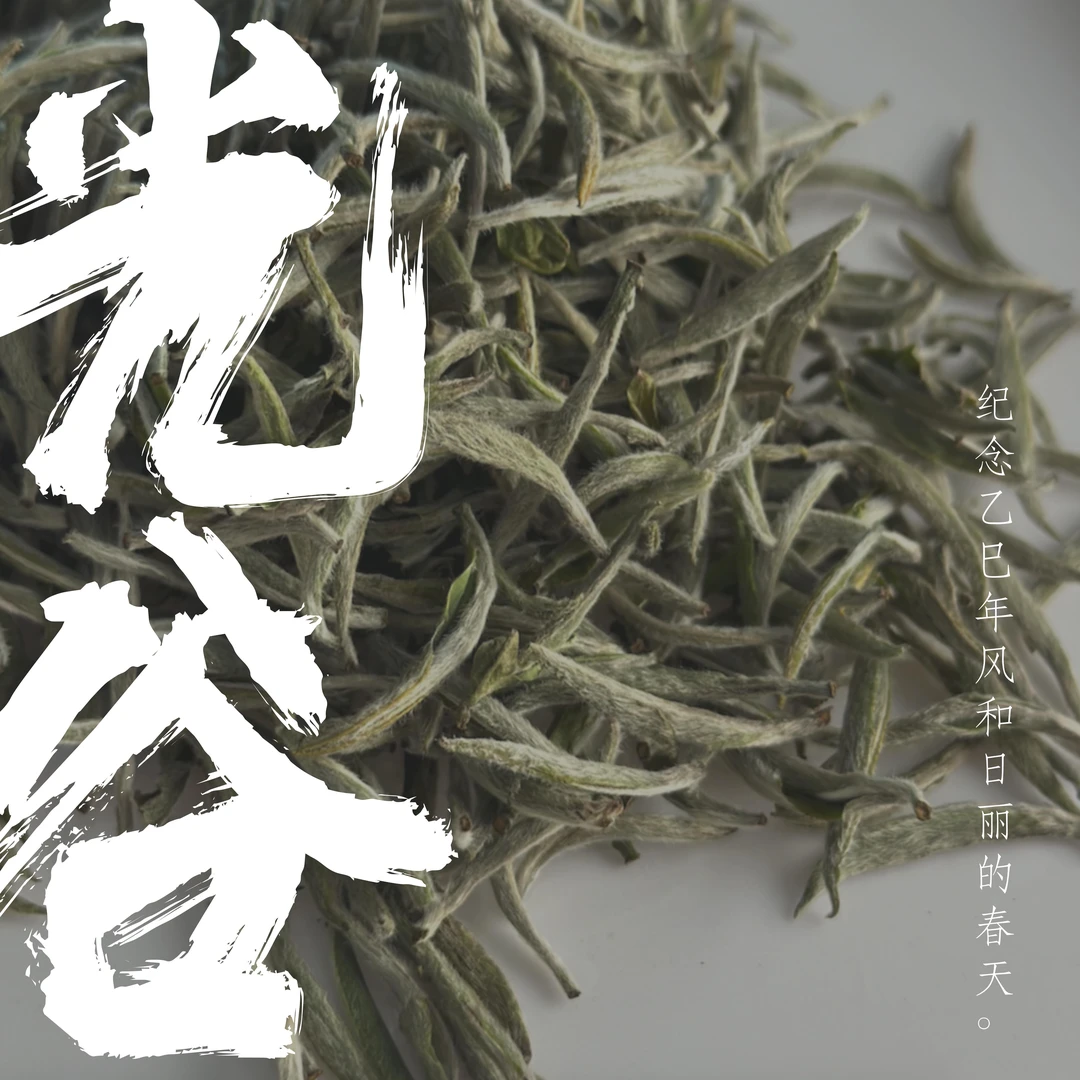 【新茶请你喝】《光谷银针》2025·磻溪湖林日晒谷香高山白毫银针