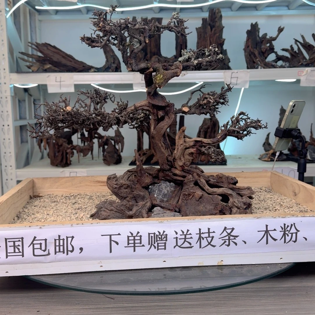 金***哥沉木造景沉木造景