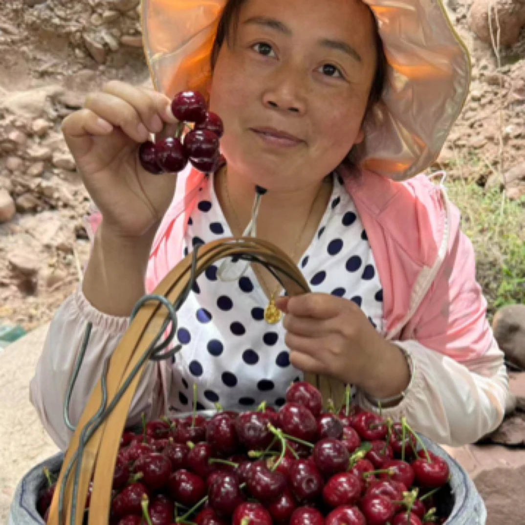 汉源车厘子黑珍珠Jll3斤其他品种