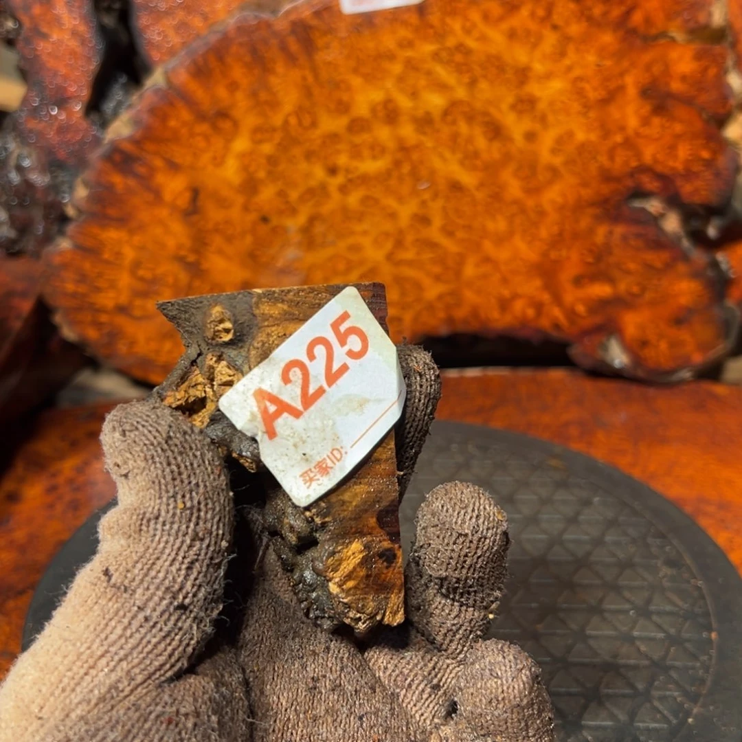 大果紫檀（缅甸花梨）顺*