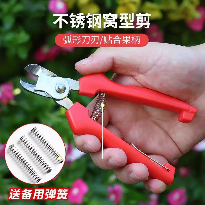 不锈钢窝型摘果剪番茄苹果橘子梨专用采摘剪水果果柄凹形修枝剪刀