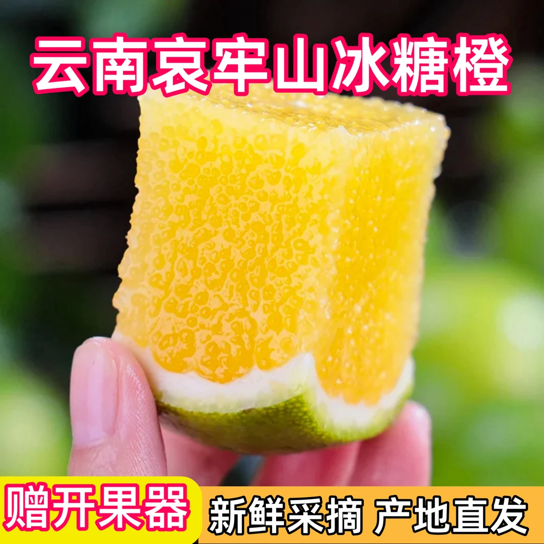 【基地直发】5斤云南哀牢山青皮冰糖橙新鲜应季水果皮薄赠开果器