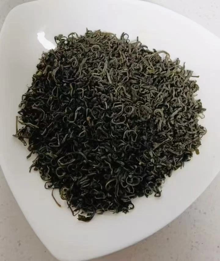 高山绿茶香浓耐泡