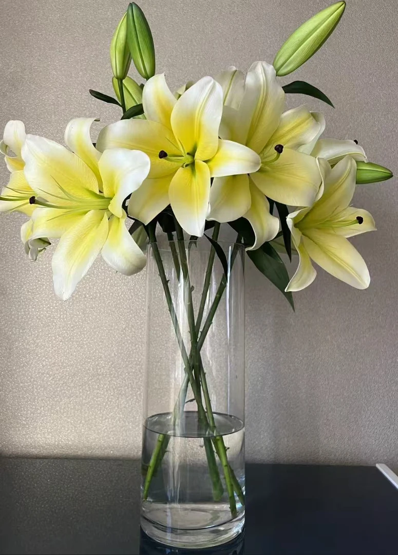 黄天霸香水百合 【基地现采现发】发货后不退款掉两个苞不理赔