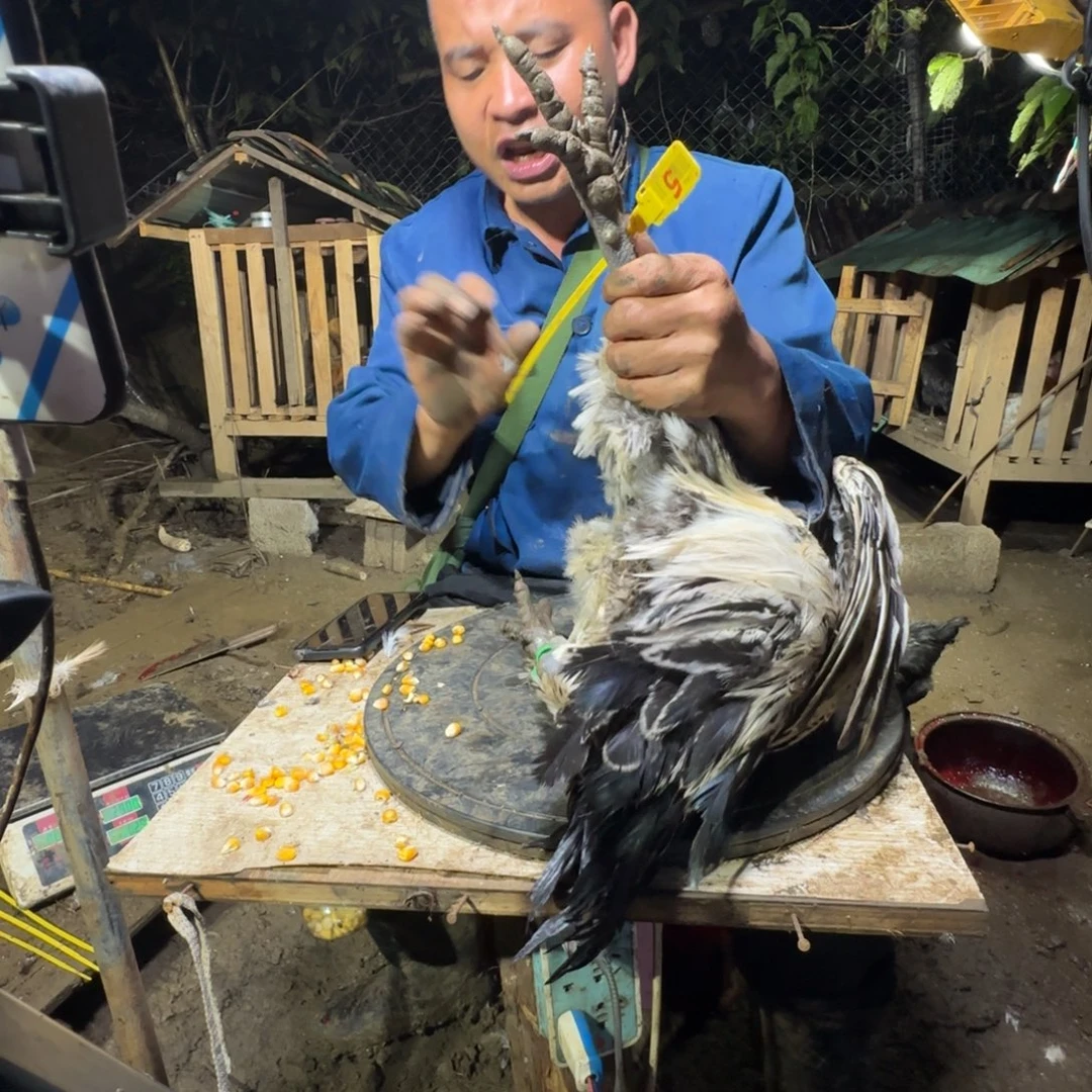 5………中国大陆包装