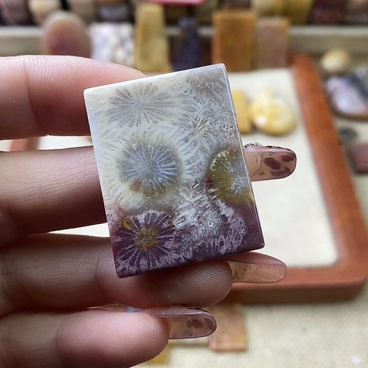 硅化珊瑚（珊瑚玉）未镶嵌颈饰