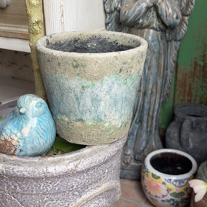 许纯的花房 孤品001