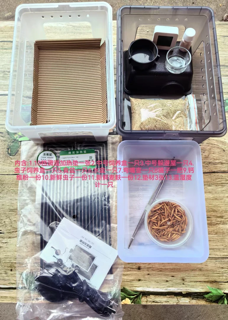 豹纹守宫透明饲养套餐活体守宫亚克力蜥蜴饲养套餐收纳盒盒子塑料