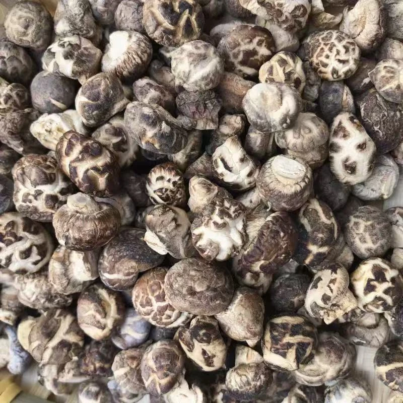 【静静助农山货】1小花菇干货山珍蘑菇小花菇香菇菌菇火锅食材煲汤