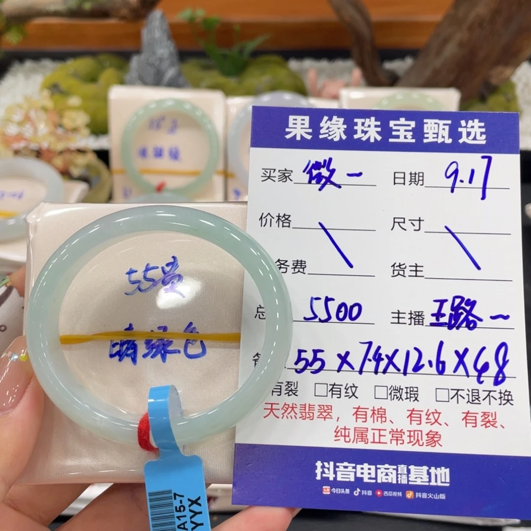 未镶嵌手镯（贵妃镯）翡翠天然缅甸翡翠A货手镯 66