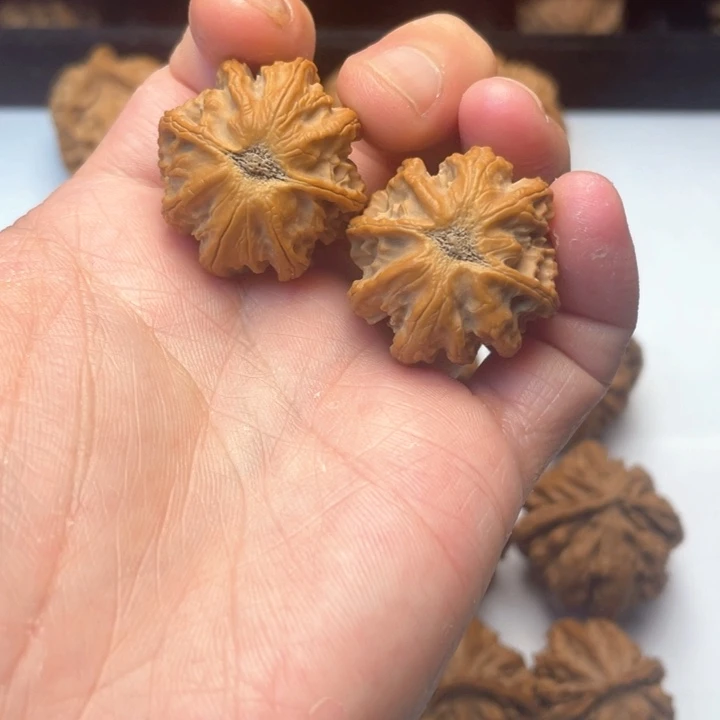 文玩核桃把件文玩城的小伙伴都在