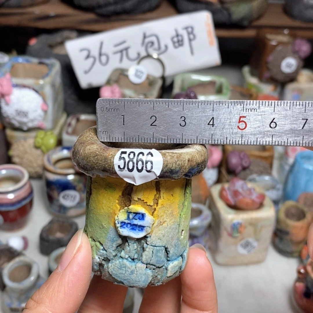 拍3送一个小礼物