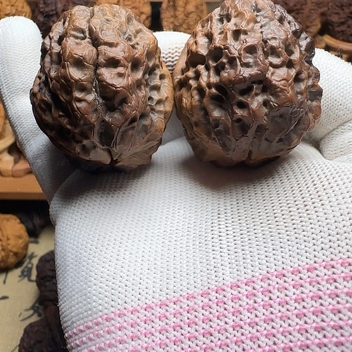 花彩鳄鱼王46尺云铁精端
