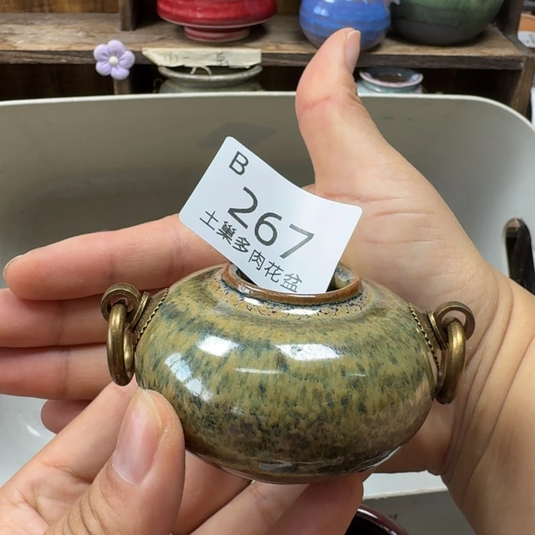 1***9陶瓷工艺与艺术设计