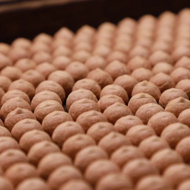 【碟王】矮桩飞碟实心籽系列