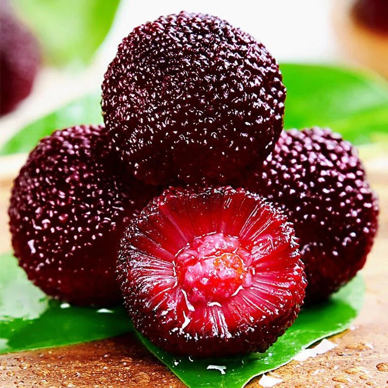 【仙居杨梅】【精品8A大果】升级礼盒装正宗仙居东魁露天杨梅现采现摘单颗17-25g 到手80粒独立装浙江省浙江省