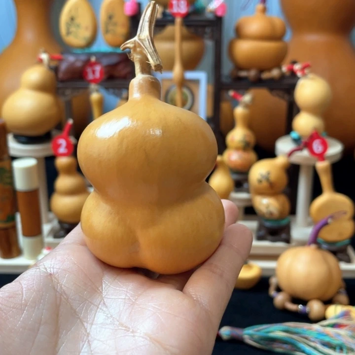 金***言葫芦丝独奏演员演技还是那么