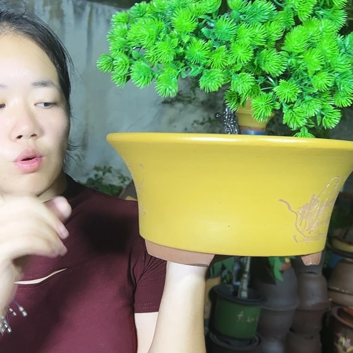 33黄票口花盆花盆花盆