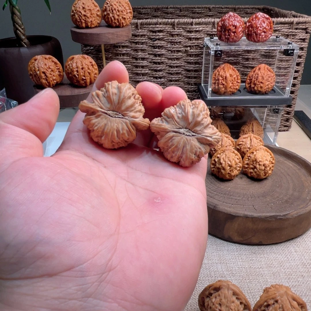 活***墩把件文玩核桃白狮子