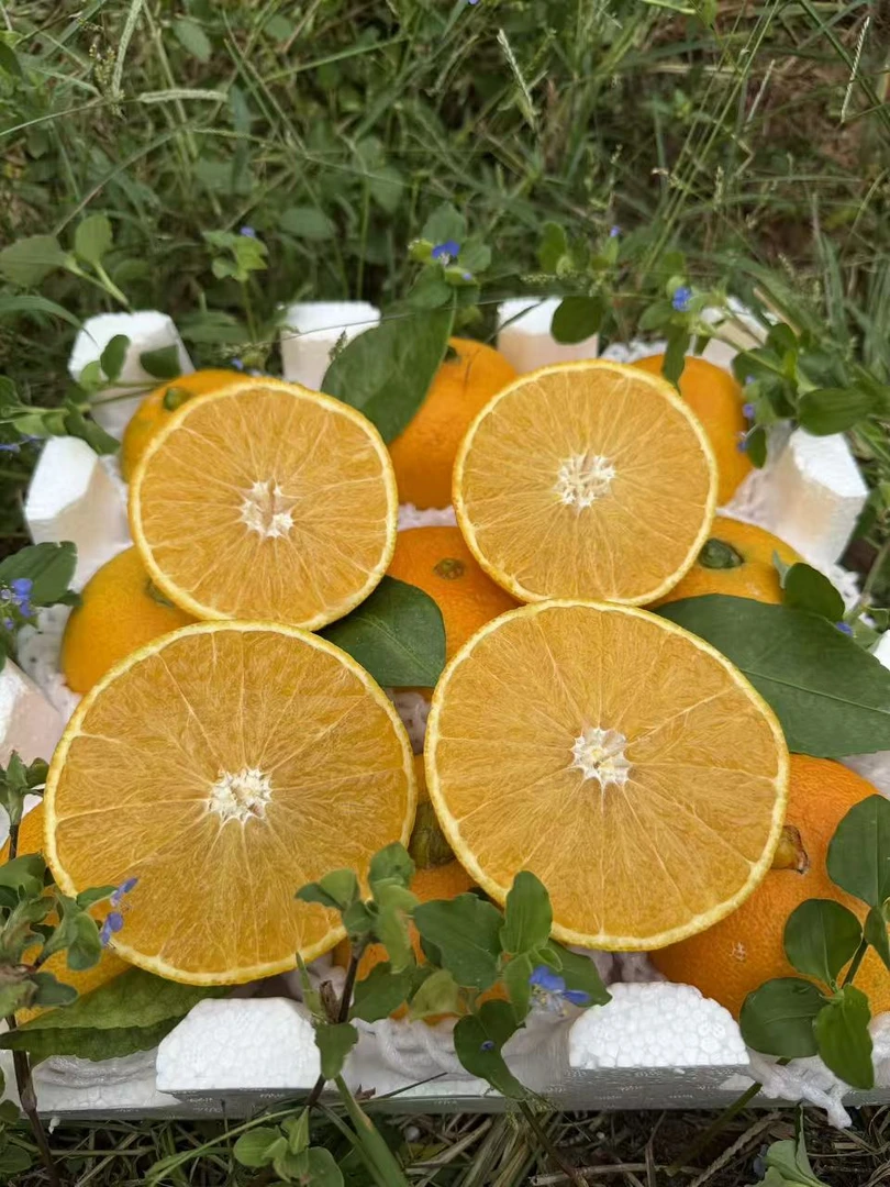 2025正宗爱媛38果冻橙当季新鲜采摘纯甜化渣水果橙子