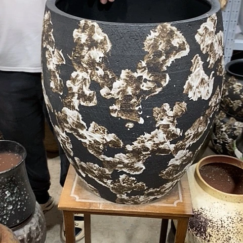 口32高度42龙蛋黑姹8888