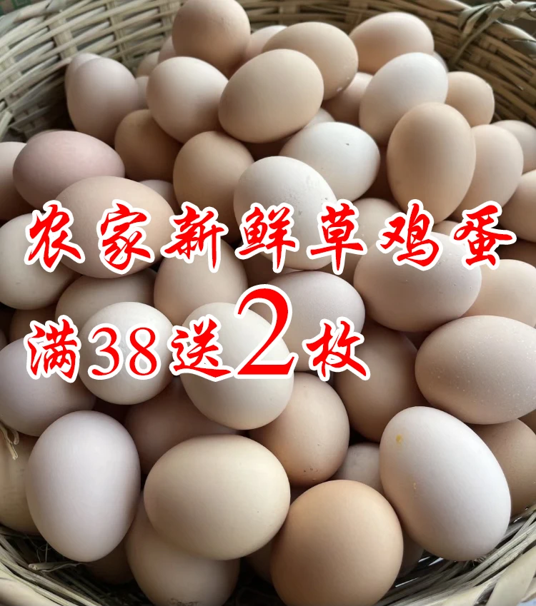 农家散养新鲜土鸡蛋营养美味