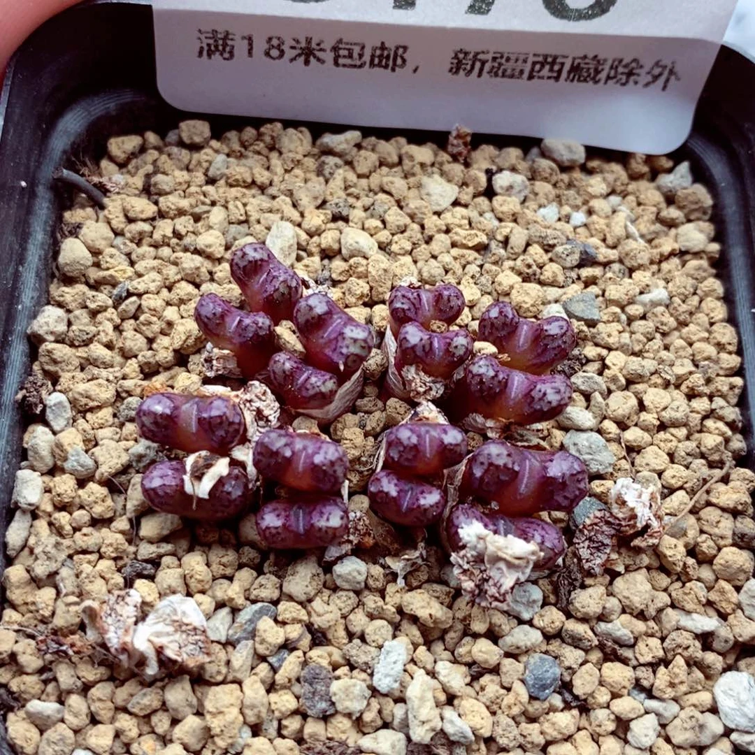 3178。