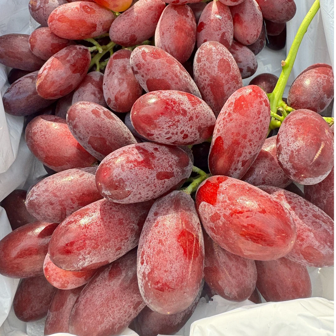 （6月开门红）樱桃之恋001红提4斤提子葡萄脆甜 顺丰包邮