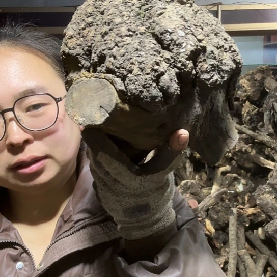 香榧木阿*火琉璃的毛料摆件