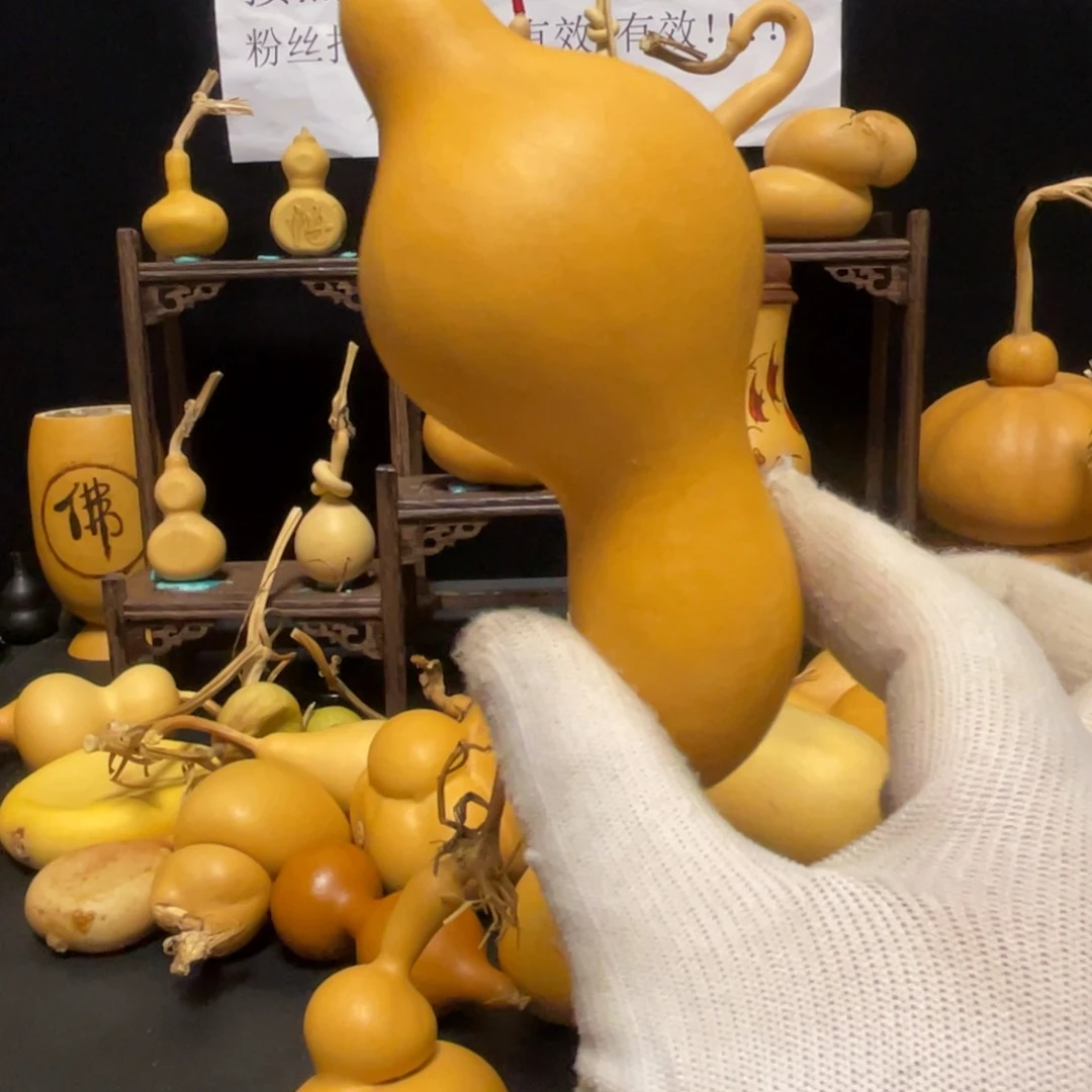 柠***草66666666666666666