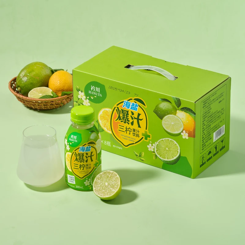 果味饮料即饮酸甜复合水果口味饮品