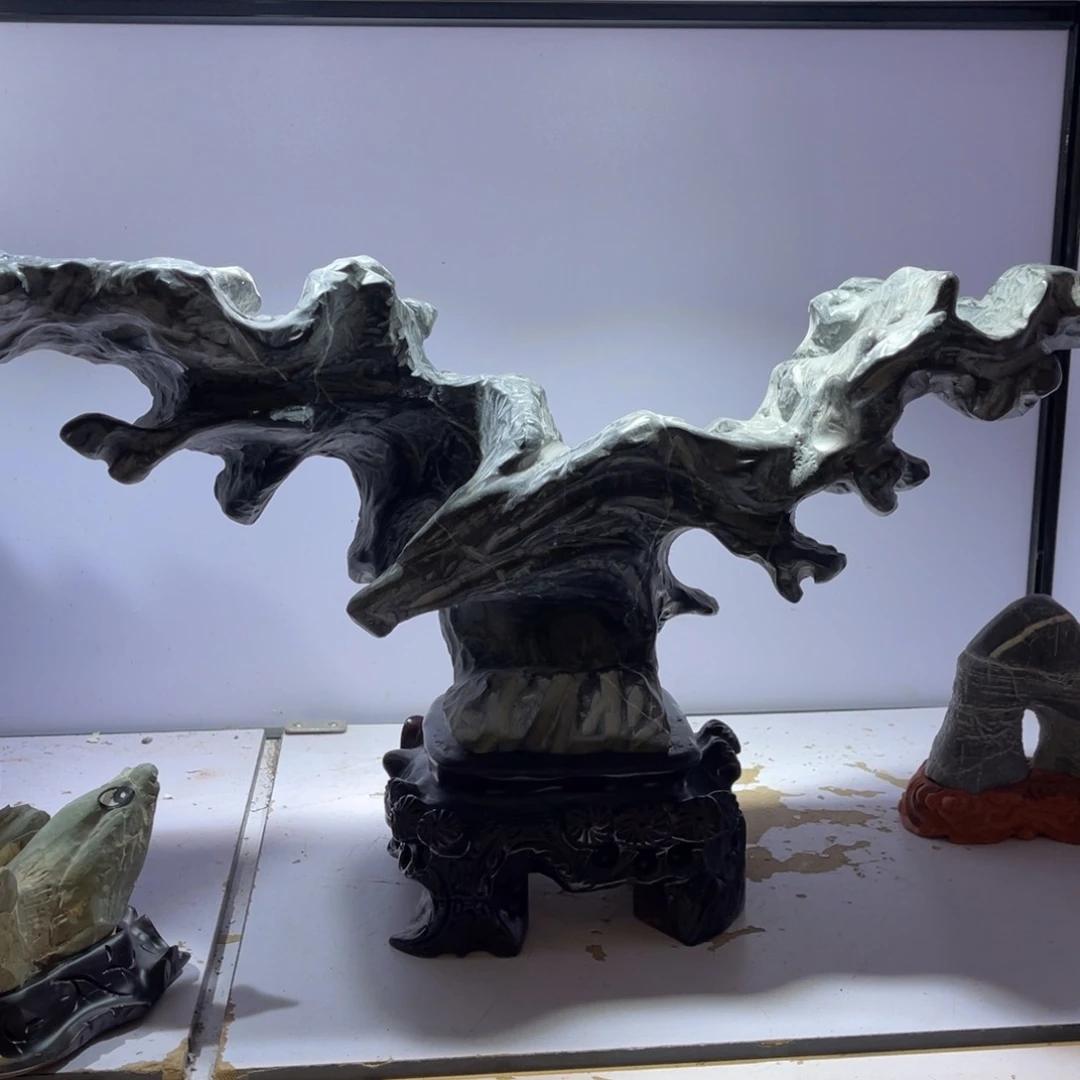 时***衣石材全场观众在看书了