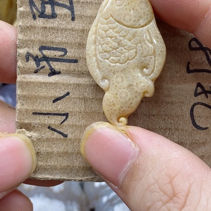 颈饰未镶嵌硅化珊瑚（珊瑚玉）L****r