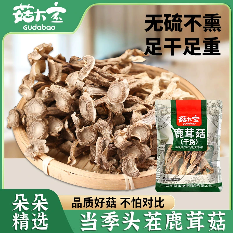 【品质好菇】深山鹿茸菇干货菌菇干货农家脆脆菇鲜嫩煲汤菌菇汤炒肉