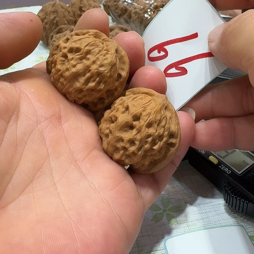 文玩核桃把件36月月