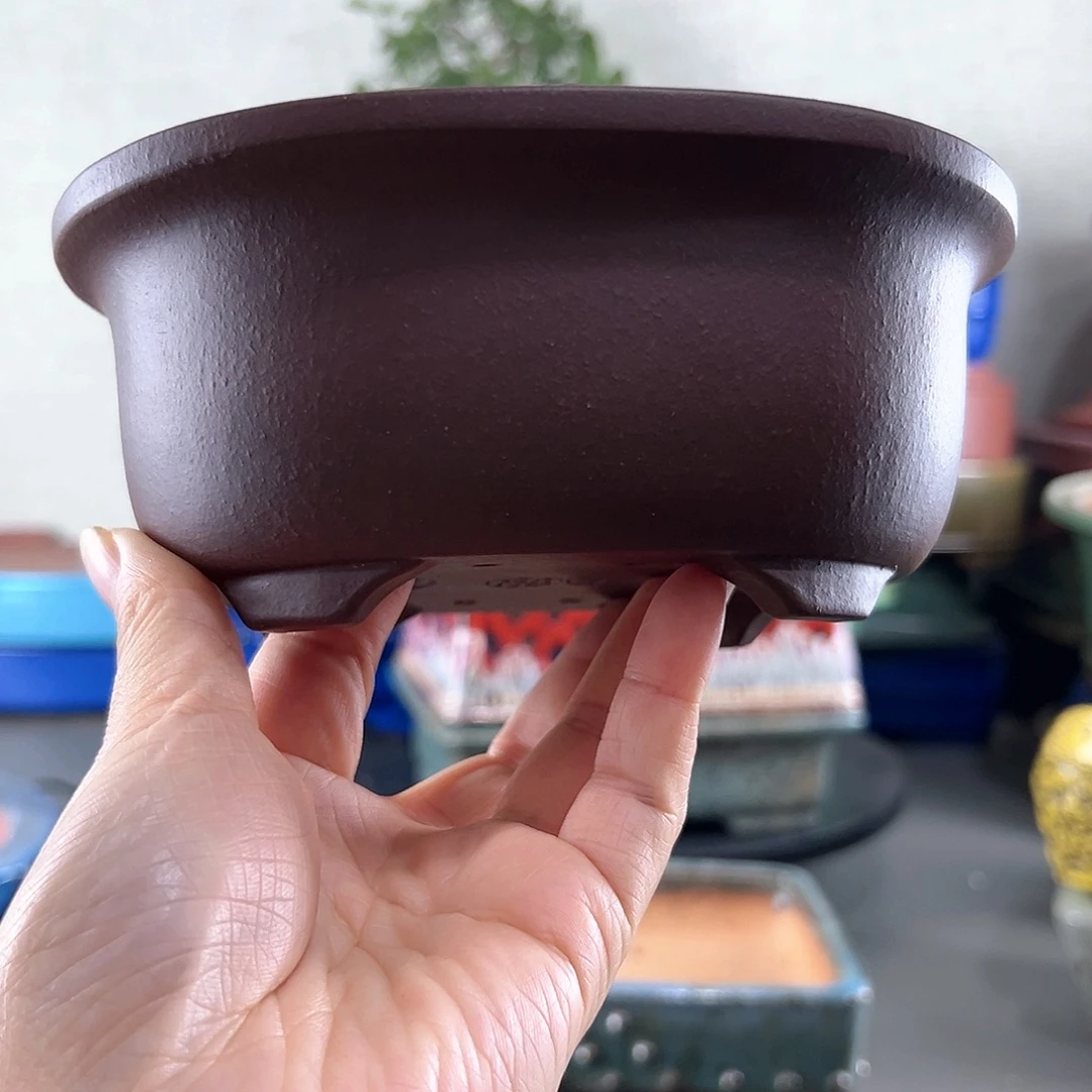 紫砂花盆16*13.5*7一只