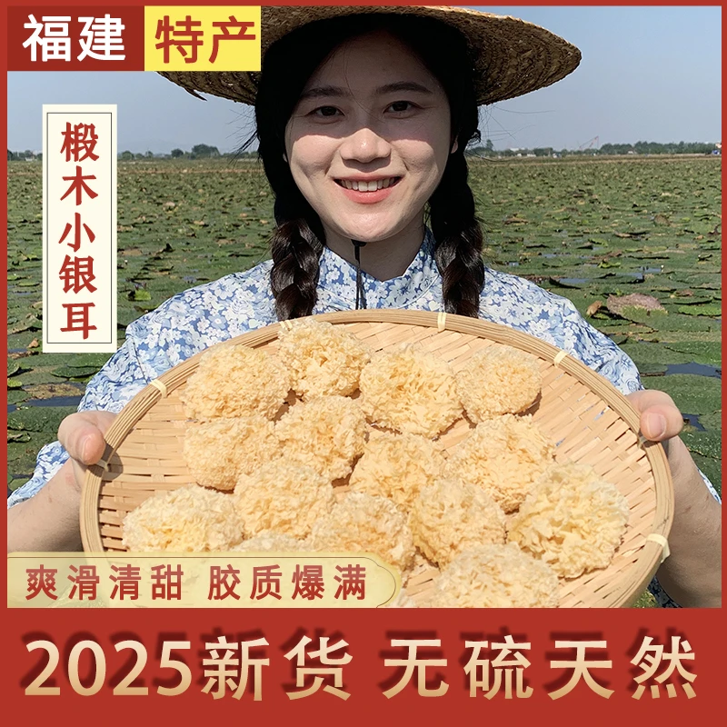 椴木小银耳 野生无硫 福建古田野长出胶快糯白木耳莲子百合糖水