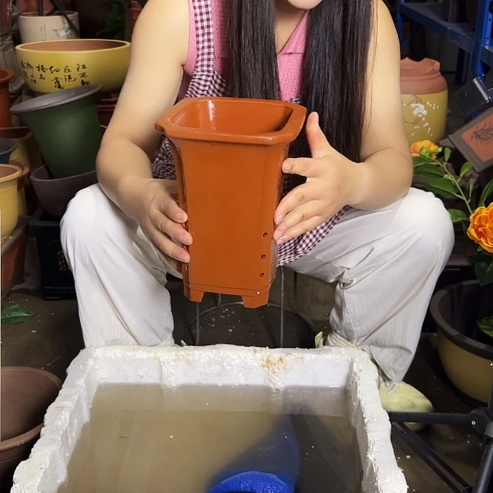 17红高四方花盆花盆花盆