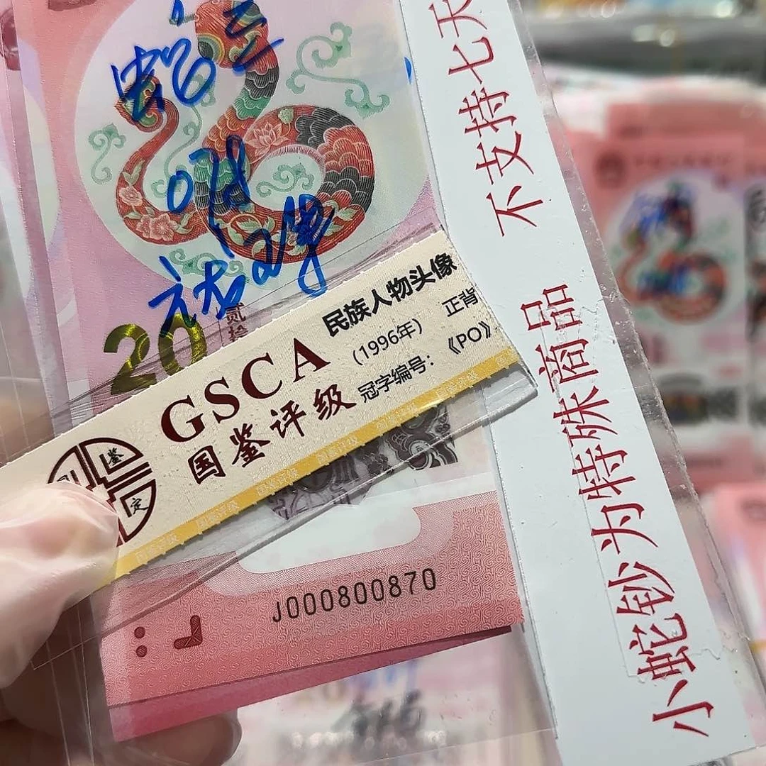 纸000800870。。。。。。。6龙珠数3