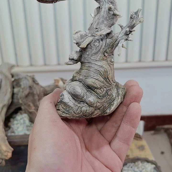 檀香紫檀（小叶紫檀）通*