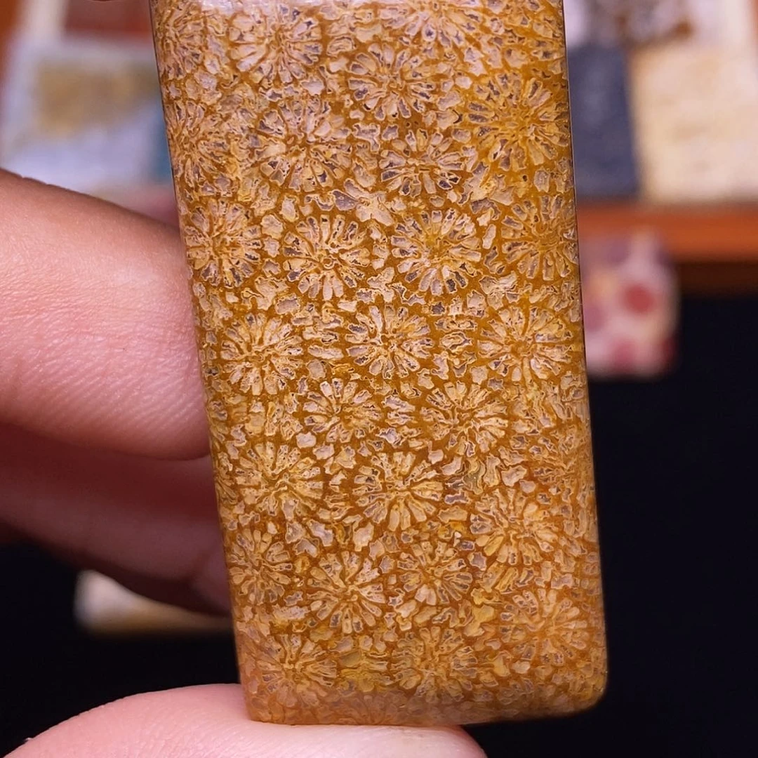 T***y硅化玉合金珊瑚玉