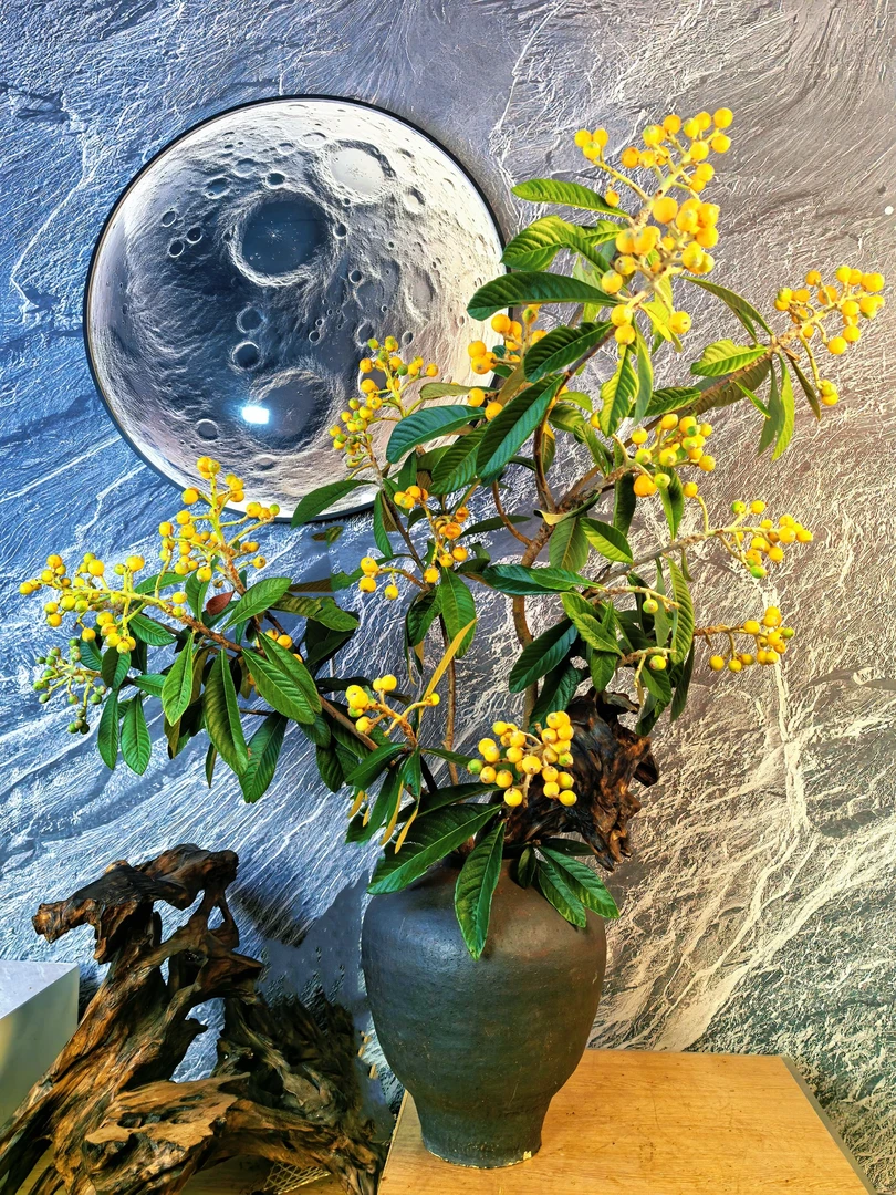 枇杷插花东方美学国风意境感鲜切花材