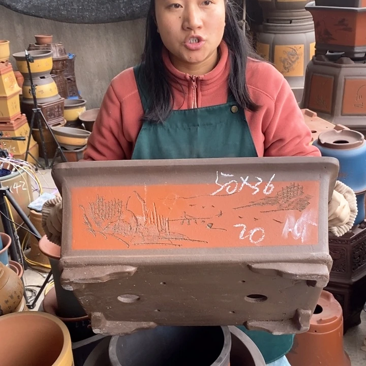 紫砂花盆盆栽花卉苗木种植