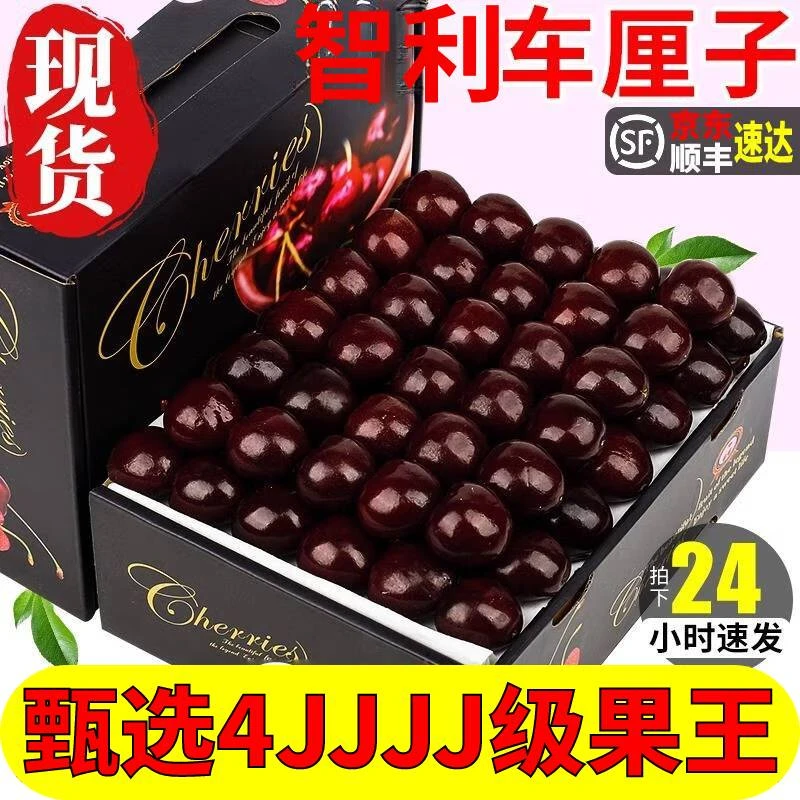 智利进口车厘子J-4J大果桑提娜顺丰空运2J送礼整箱礼盒内附果径卡