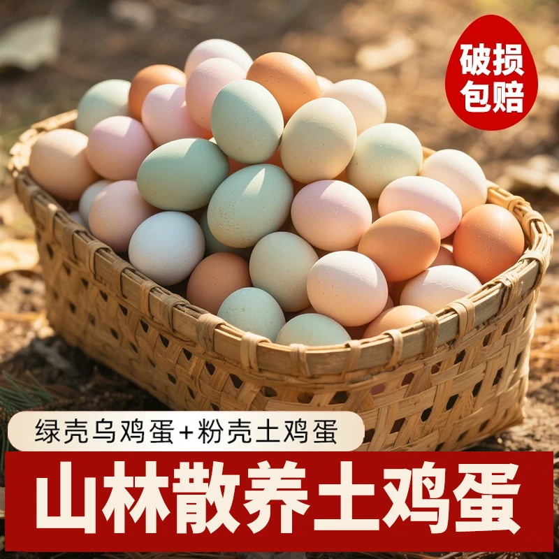 买40枚送10枚乌鸡蛋 农家散养土鸡蛋 新鲜发货 产地直发