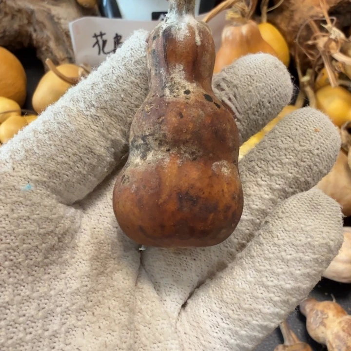 田***鱼666666667777777¥¥¥¥