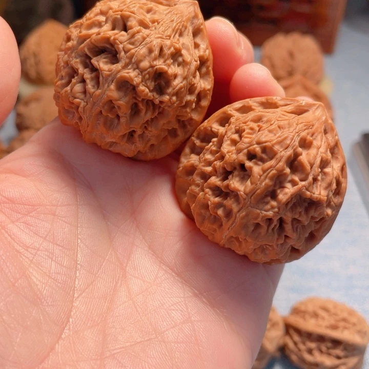 空**机40尺寸水龙纹狮子头