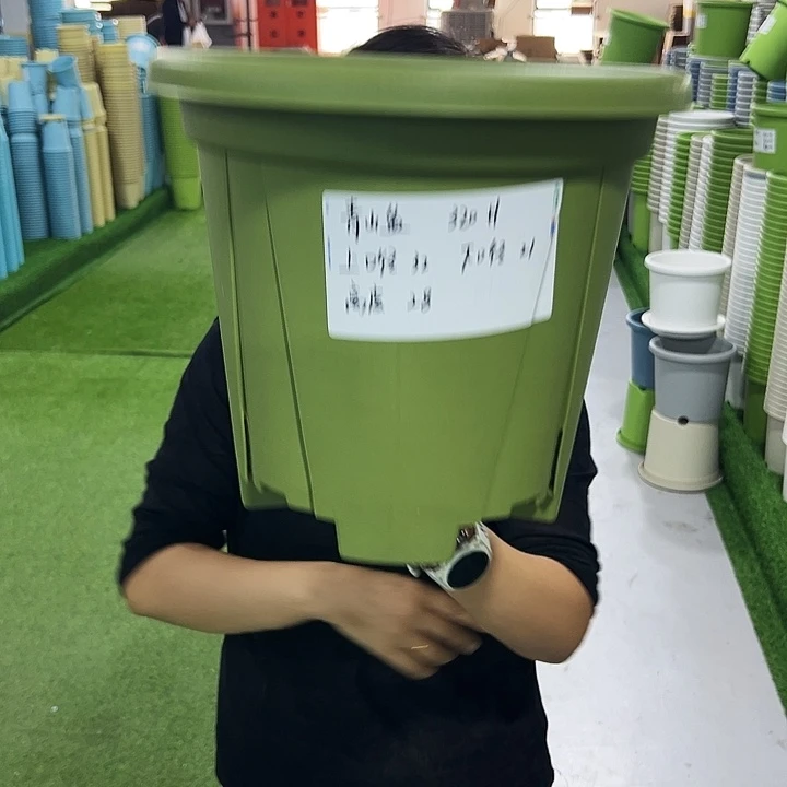 特价青山口32高28果绿无托5只