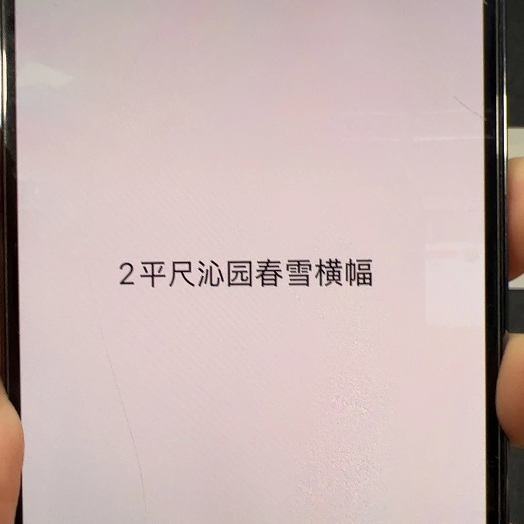 *****书法（a18722）2平尺沁园春 书画3